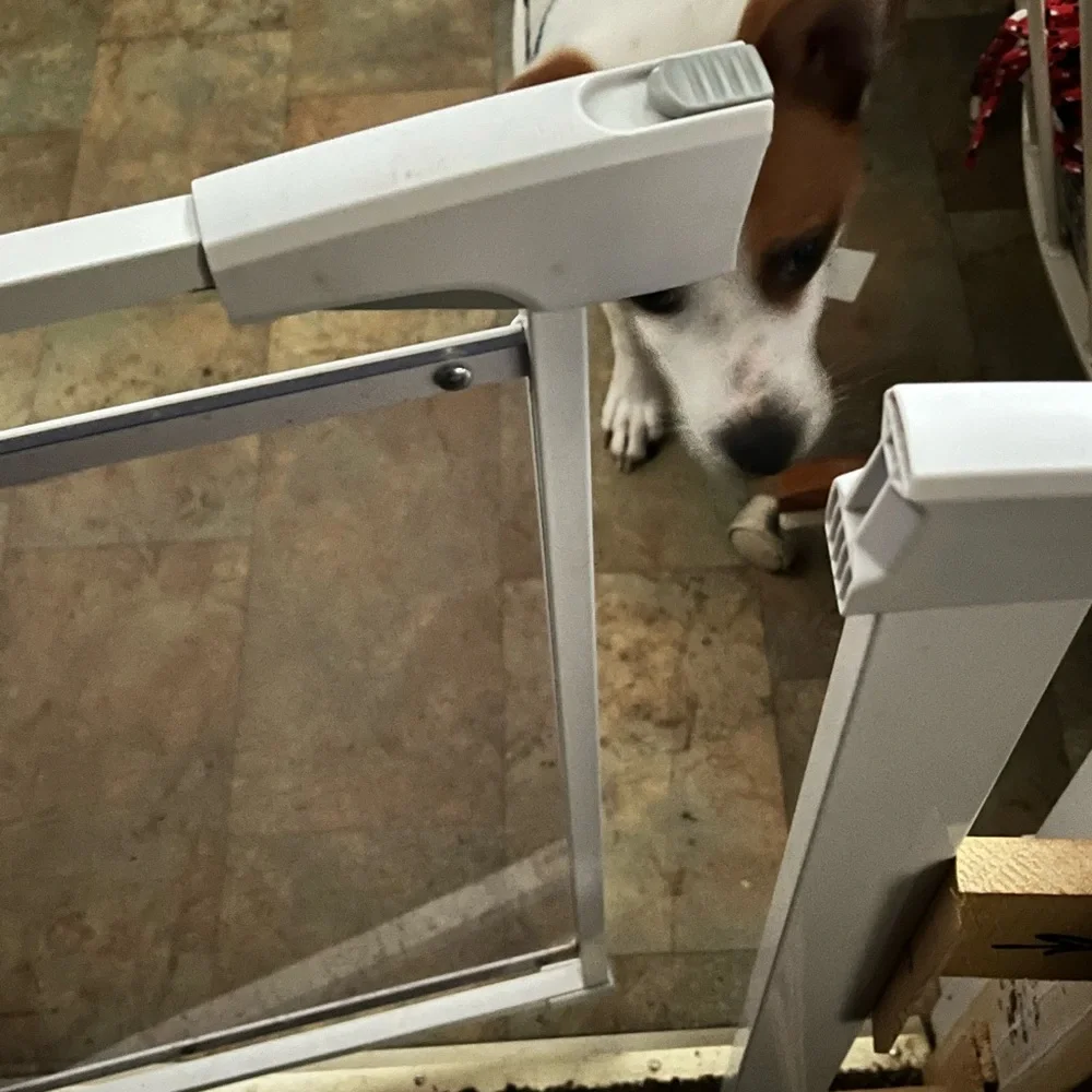 Babelio Acrylic Extra wide walk thru gate